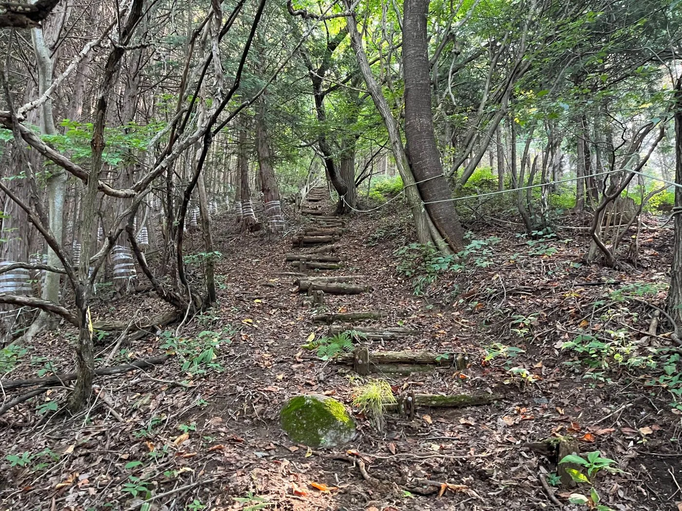 Mt. Komochi